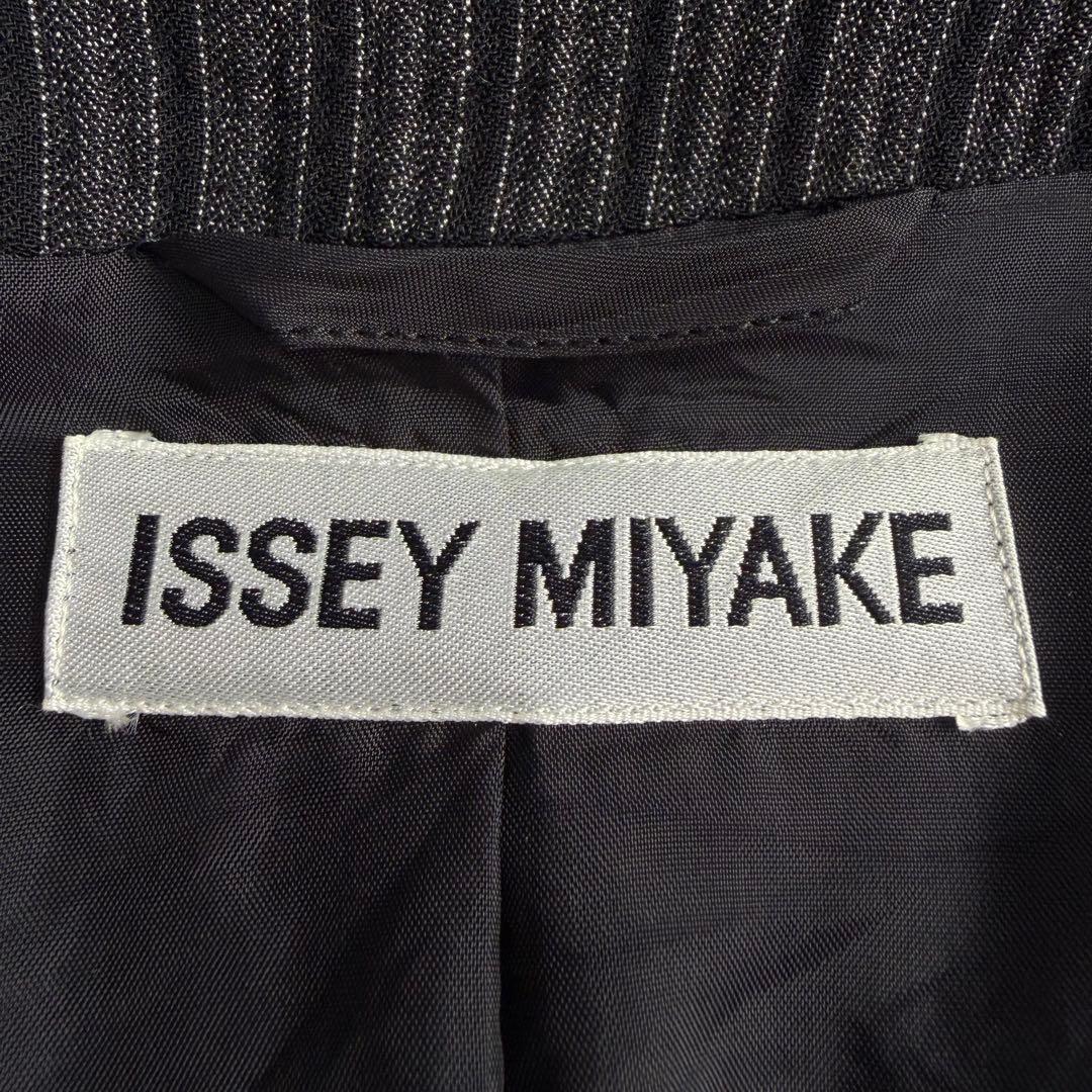 Issey Miyake Skirt Outfits M