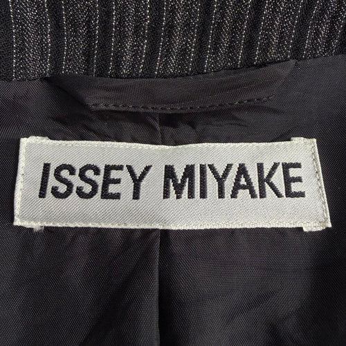 Issey Miyake Skirt Outfits M