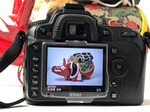 Nikon Digital Slr Ok D90