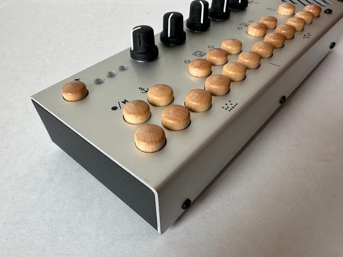 Analog Synthesizers Critter Guitari 201 Pocket Piano
