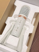 Yamaha Condenser Microphones Ag01