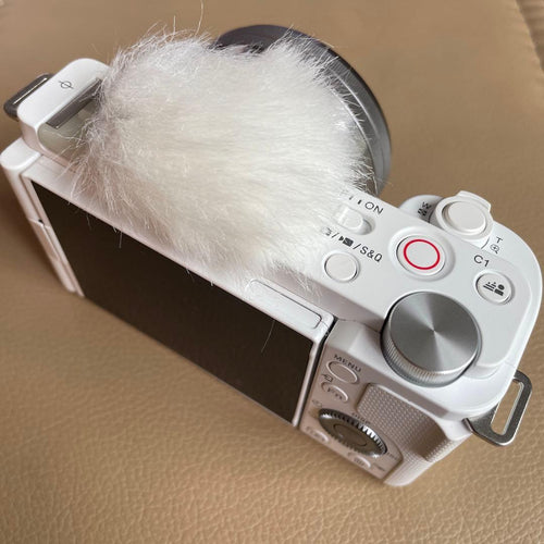 Sony Digital Slrs Vlogcam Zv-E10L