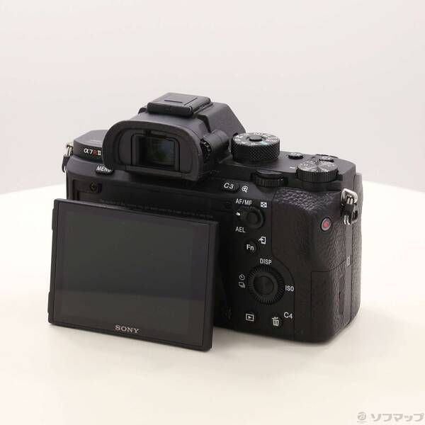 Sony Mirrorless Interchangeable Lips 7R Ii 276