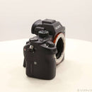 Sony Mirrorless Interchangeable Lips 7R Ii 276