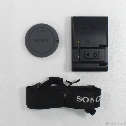 Sony Mirrorless Interchangeable Lips 7R Ii 276