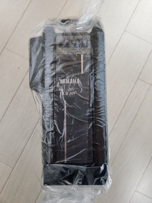 Battery Packs Yamaha 12.3Ah X0T-22