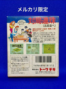 Gameboy Games