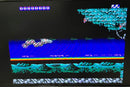 Hudson Games Pc Hu Saint Dragon