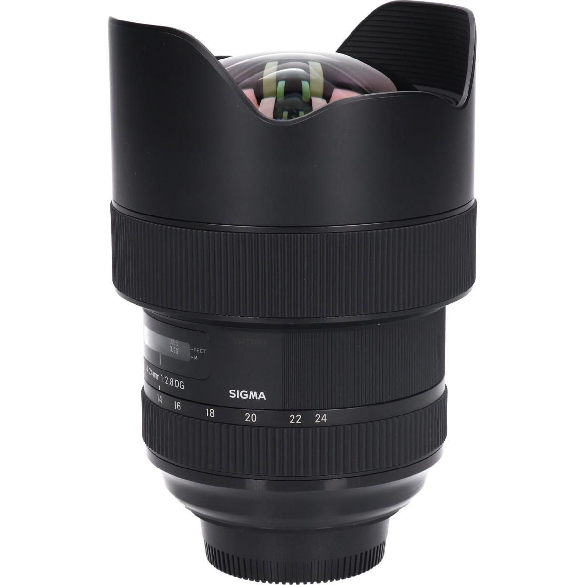 Sigma Lens (Single Focus)