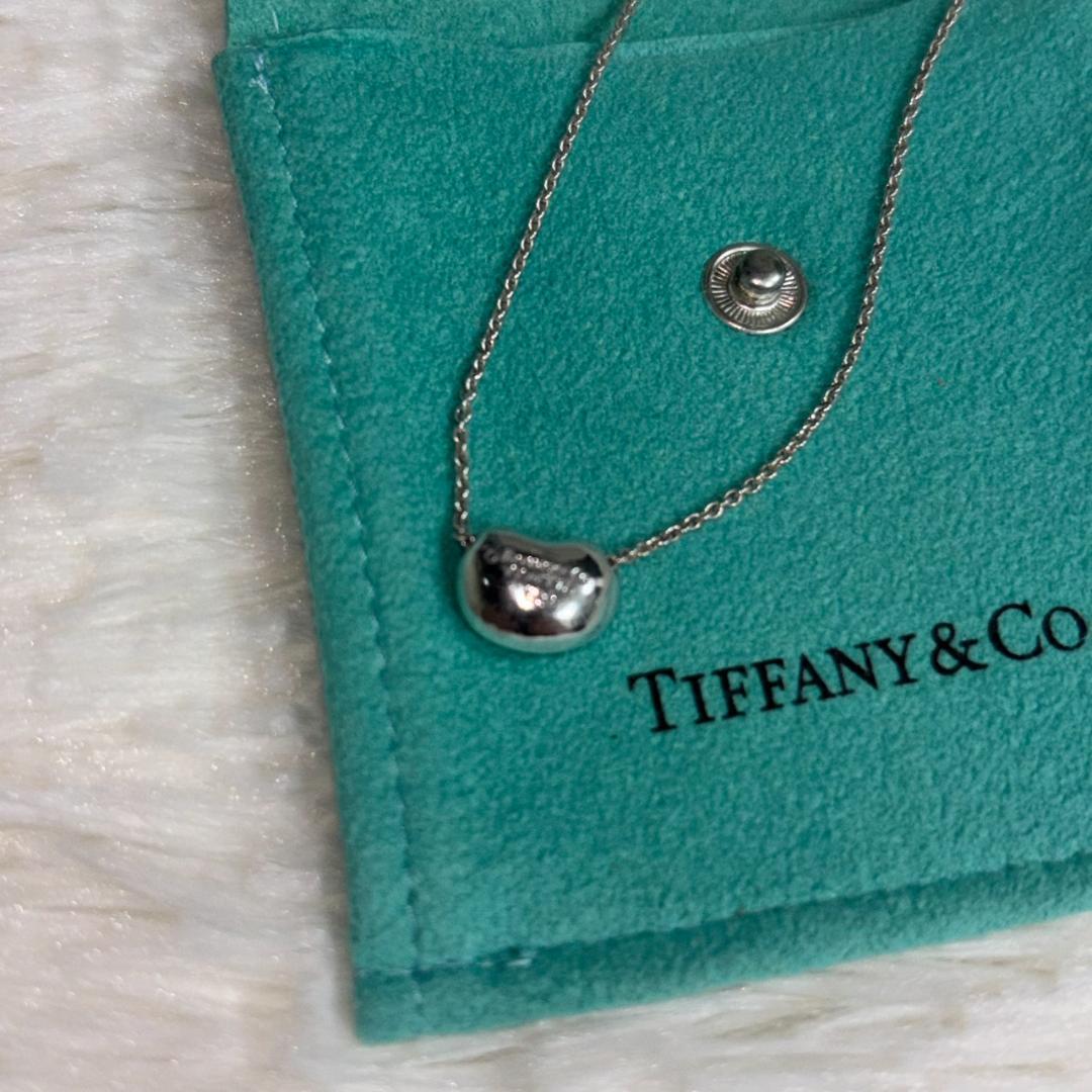 Tiffany Necklaces Tiffany&Co. 925 2.41G
