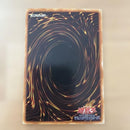 Yu -Gi -Oh! Ocg Duel Monsters
