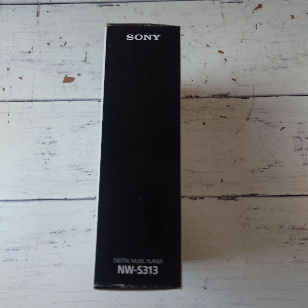 Sony Wireless Earphone Black