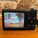 Pentax Compact Digital Cameras Optio Rz10 Ccd