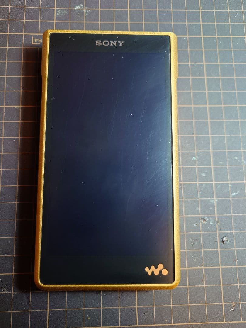 Sony Digital Audio Player Nw-Wm1Zm2