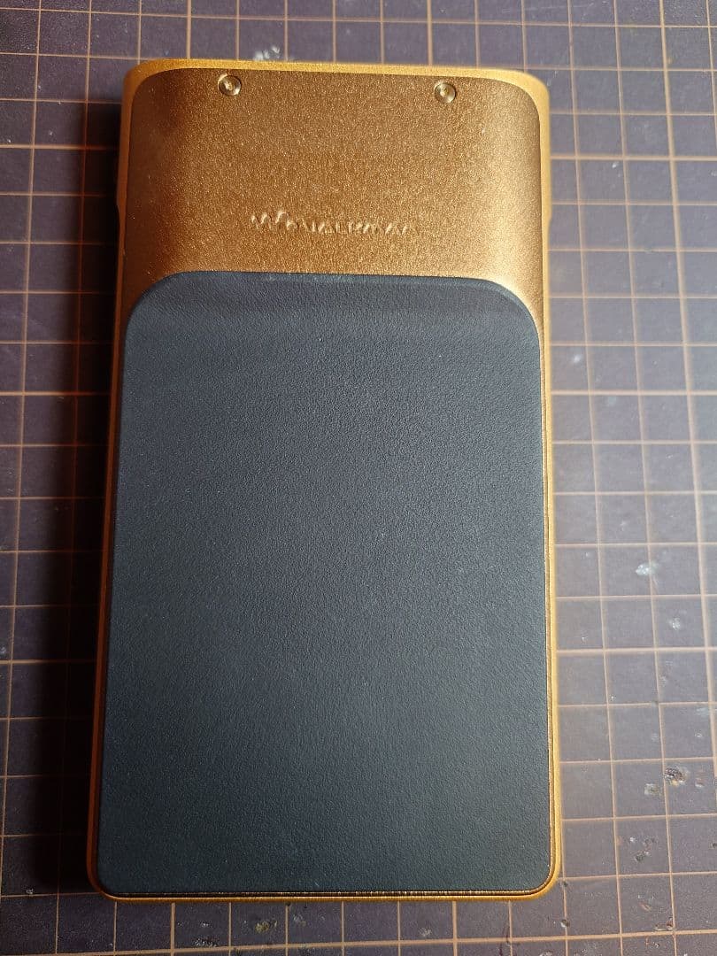 Sony Digital Audio Player Nw-Wm1Zm2