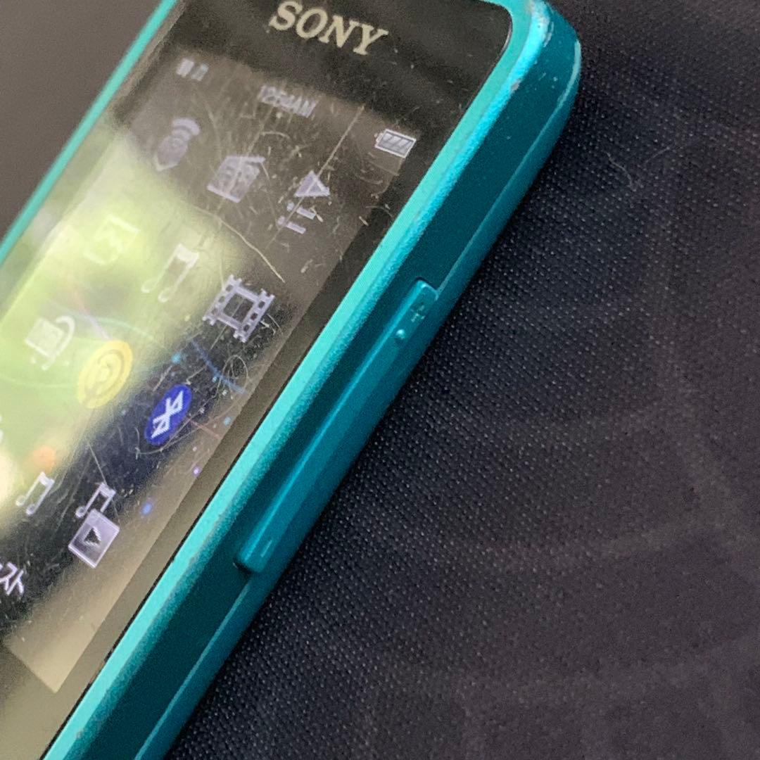 Sony Digital Audio Players Nw-S13 Walkman 4Gb