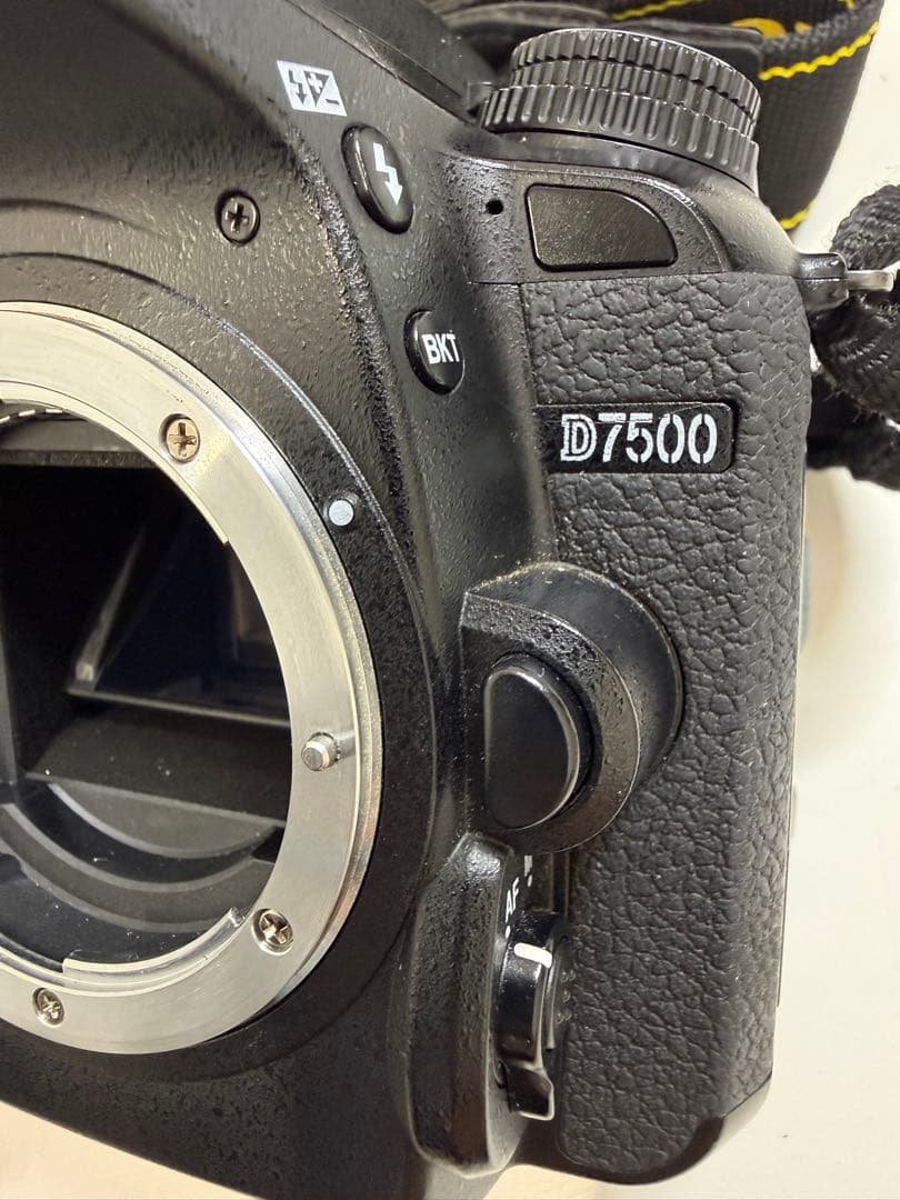 Nikon Digital Slrs D7500 2