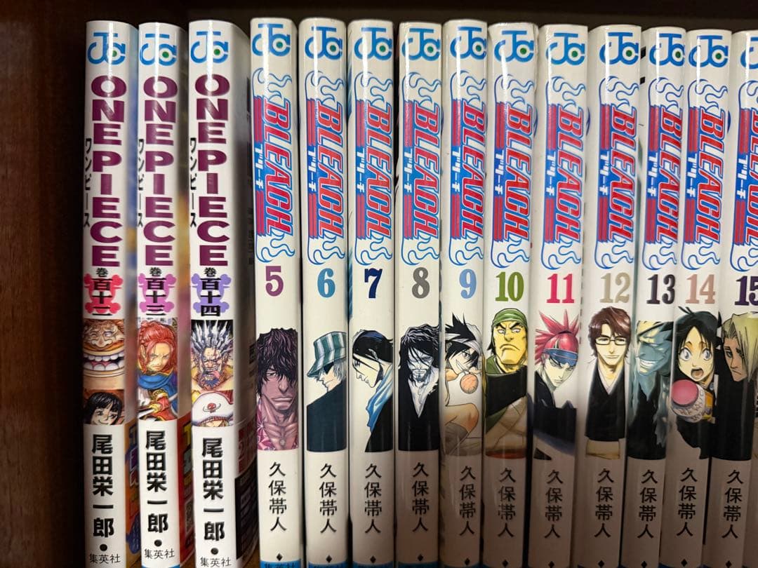 Sh Nen Manga One Piece
