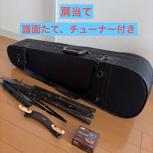 Violin Body 4/4 Korg