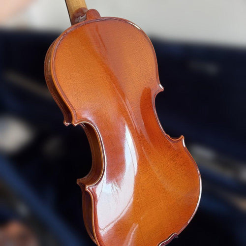 Violin Body 4/4 Korg