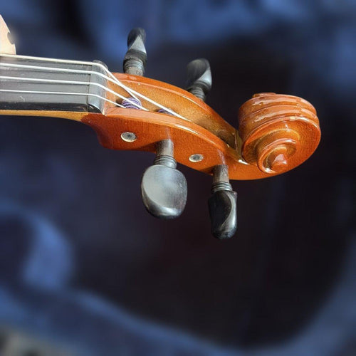 Violin Body 4/4 Korg