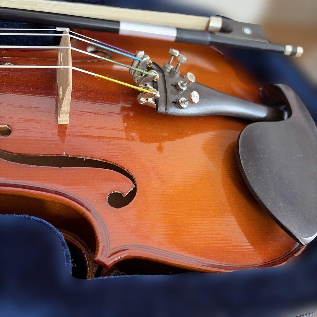 Violin Body 4/4 Korg