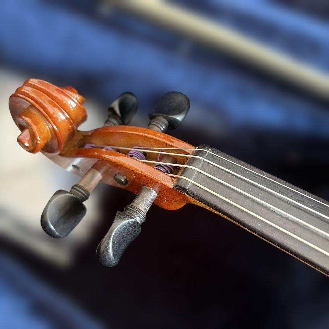 Violin Body 4/4 Korg