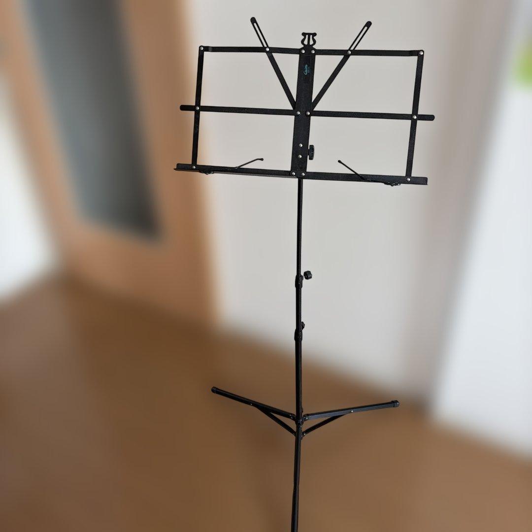 Violin Body 4/4 Korg