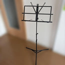 Violin Body 4/4 Korg