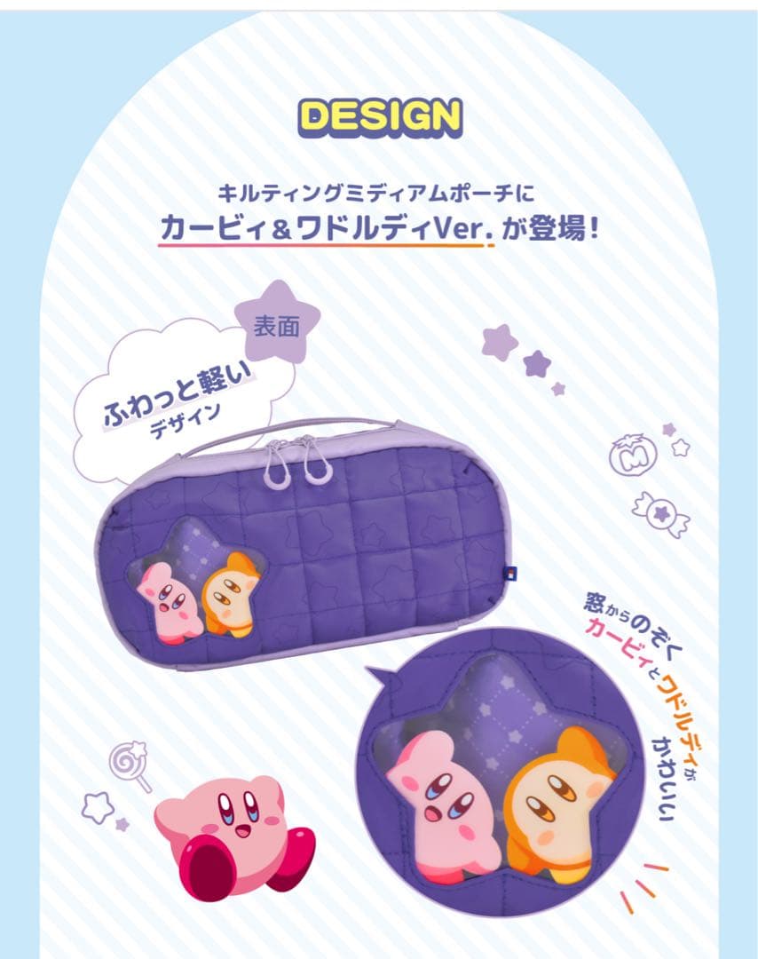 Bag Pouch Hori Switch2