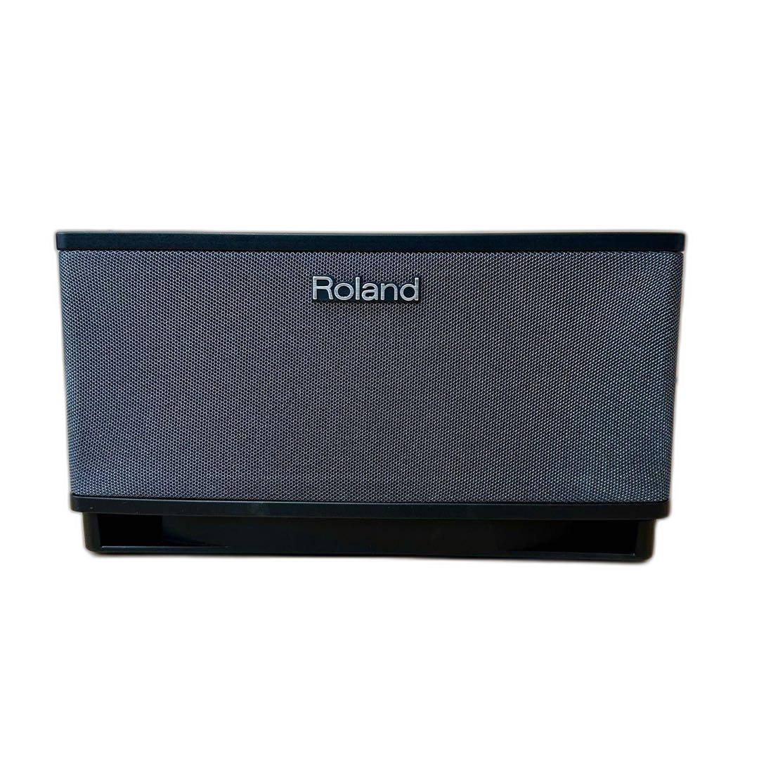 Roland Guitar Amplifier Cube Lite