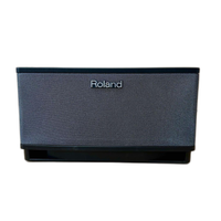 Roland Guitar Amplifier Cube Lite