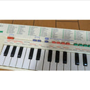 Casio Keyboard Electronic Piano Sa-1 100 Sound Tone Bank