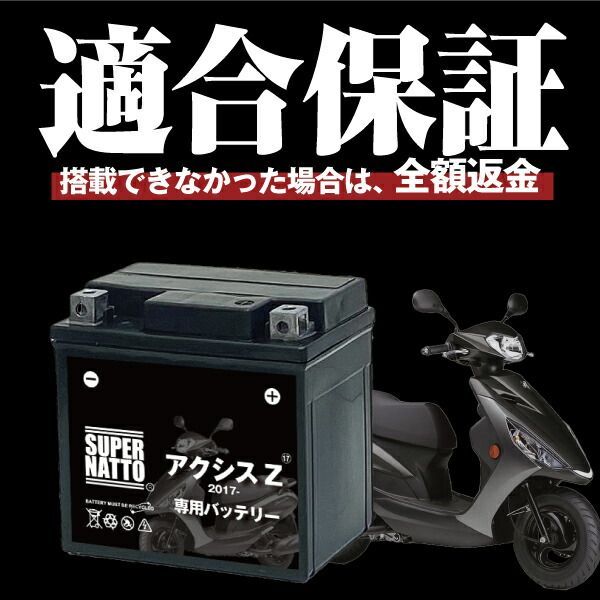 Others Z (2017 Yamaha 100