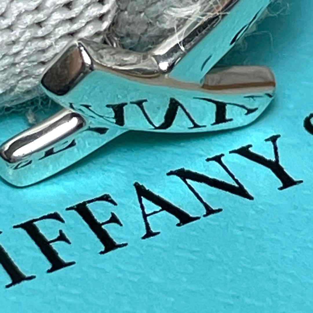 Tiffany Earrings (Single) Tiffany&Co.
