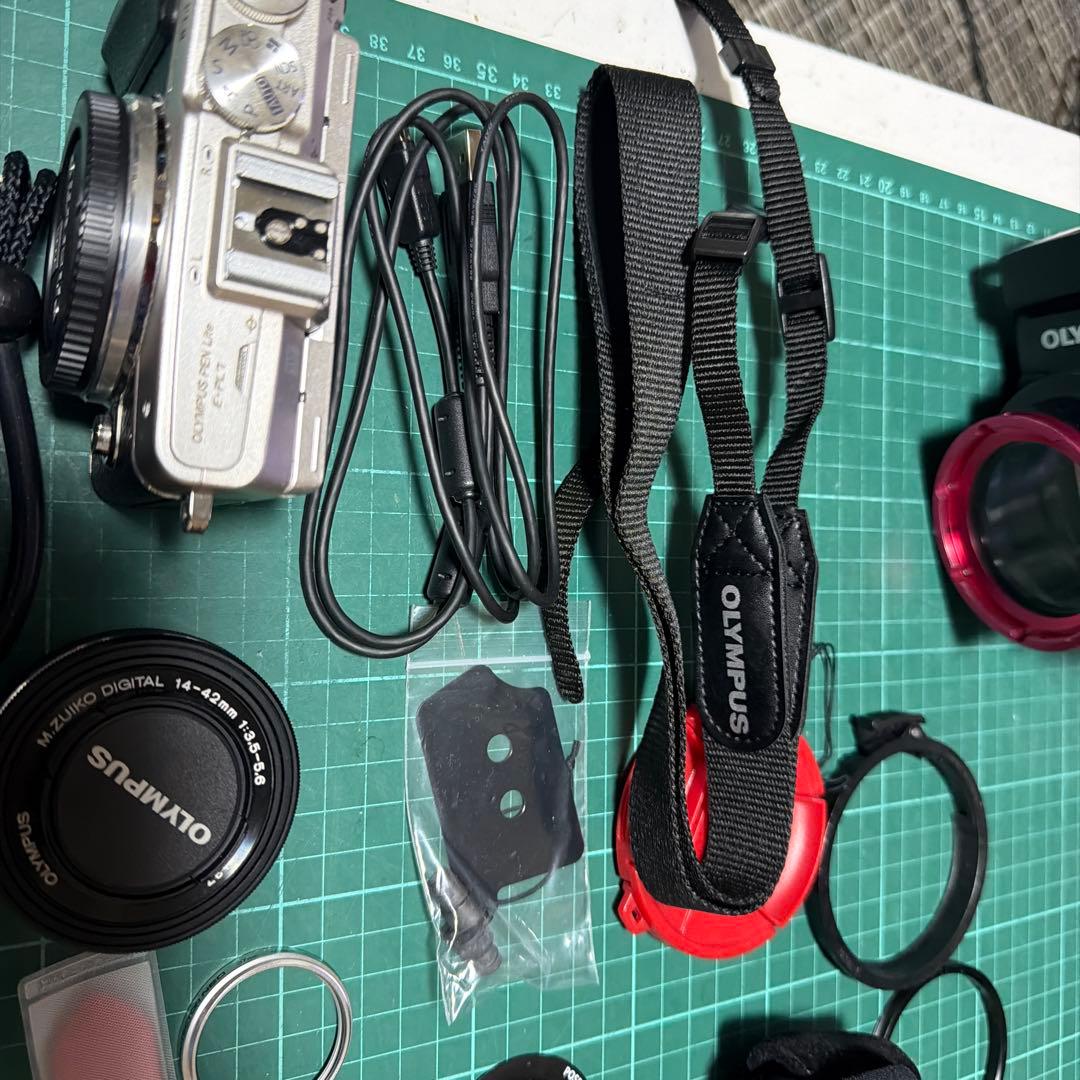 Olympus Underwater Lights Pt-Ep12 E-Pl7