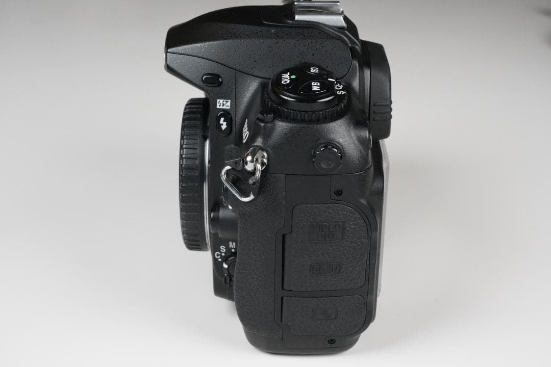 Nikon Digital Slrs D200