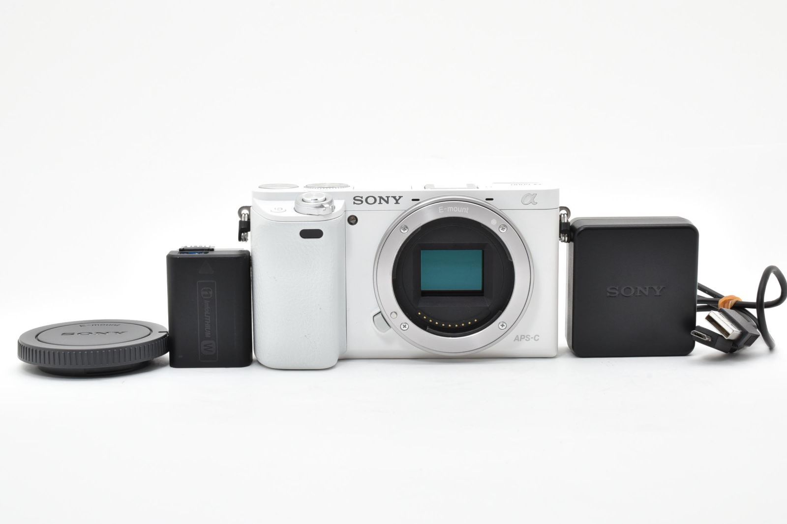 Mirrorless Interchangeable Lips Sony 6000