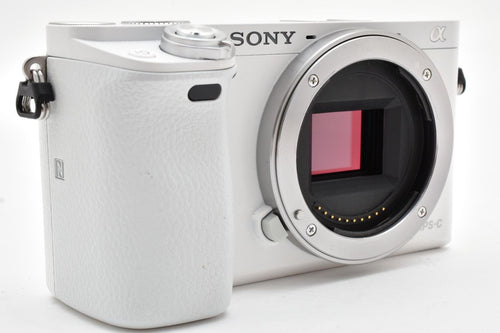 Mirrorless Interchangeable Lips Sony 6000