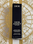 Christian Dior Lipstick 020