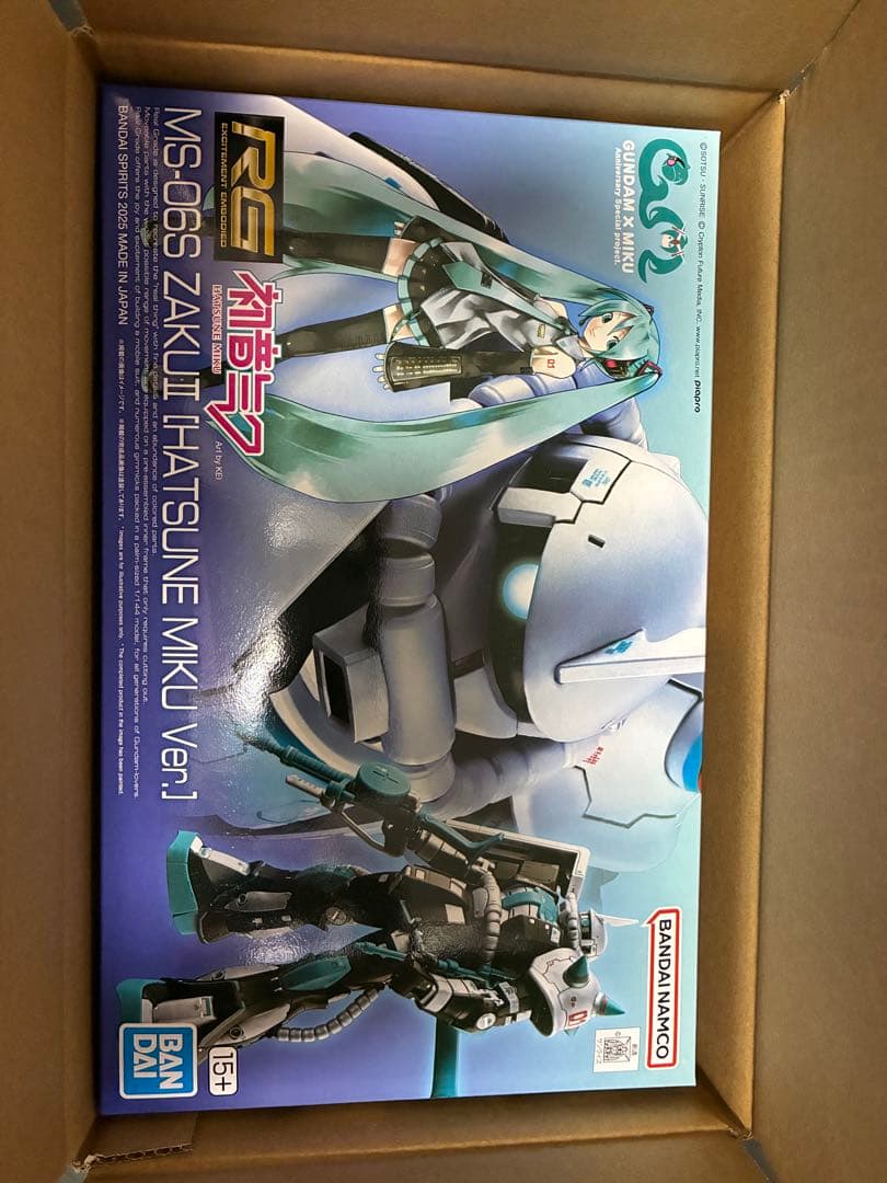Premium Bandai Rg (Real Grade) 1/144 Ms-06S Ii Ver.]