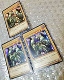 Yu-Gi-Oh! Ocg Duel Monsters (Japanese)
