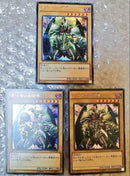 Yu-Gi-Oh! Ocg Duel Monsters (Japanese)
