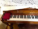Rolex Uplight Piano Rx300Dw