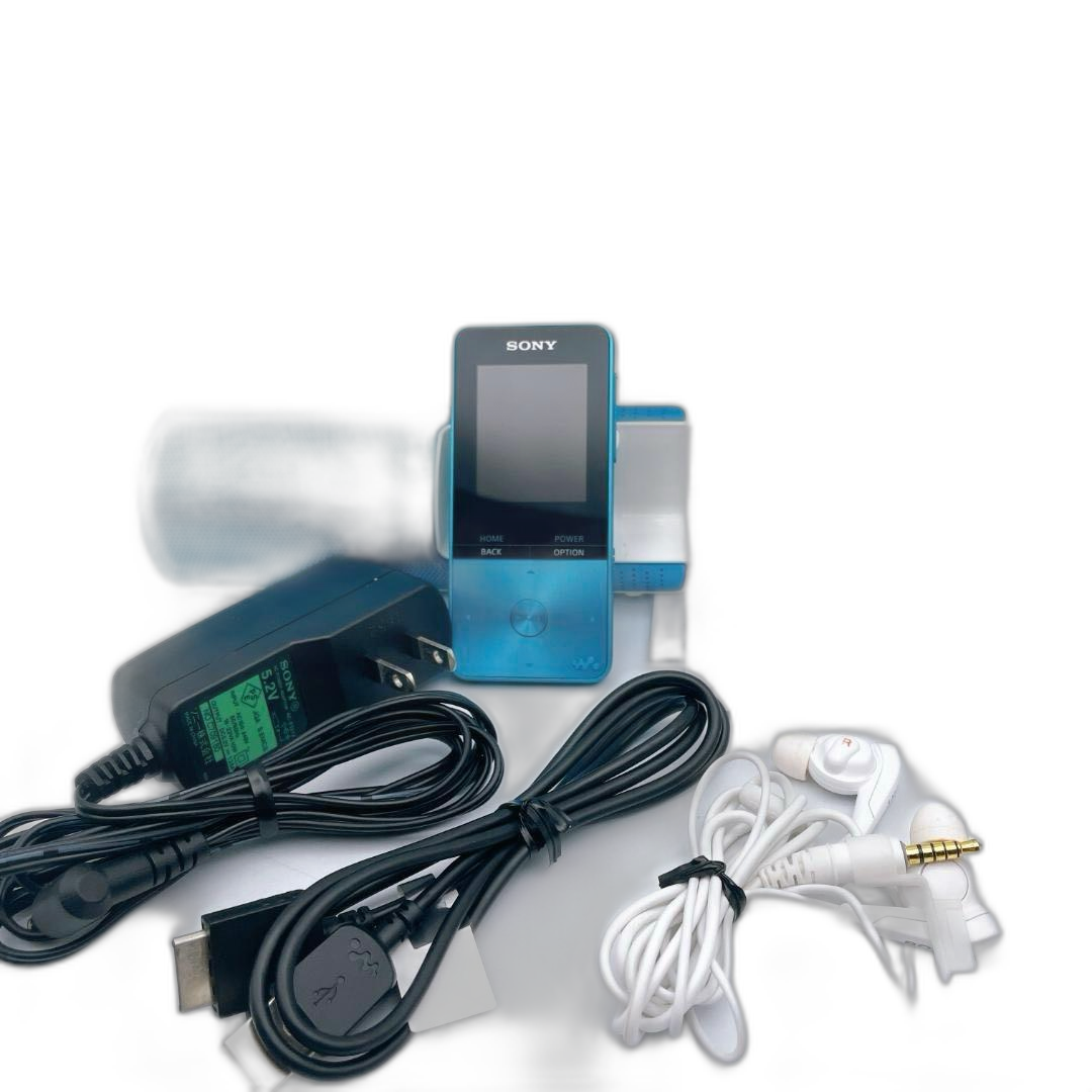Sony Digital Audio Players Walkman Nw-S313K 4Gb