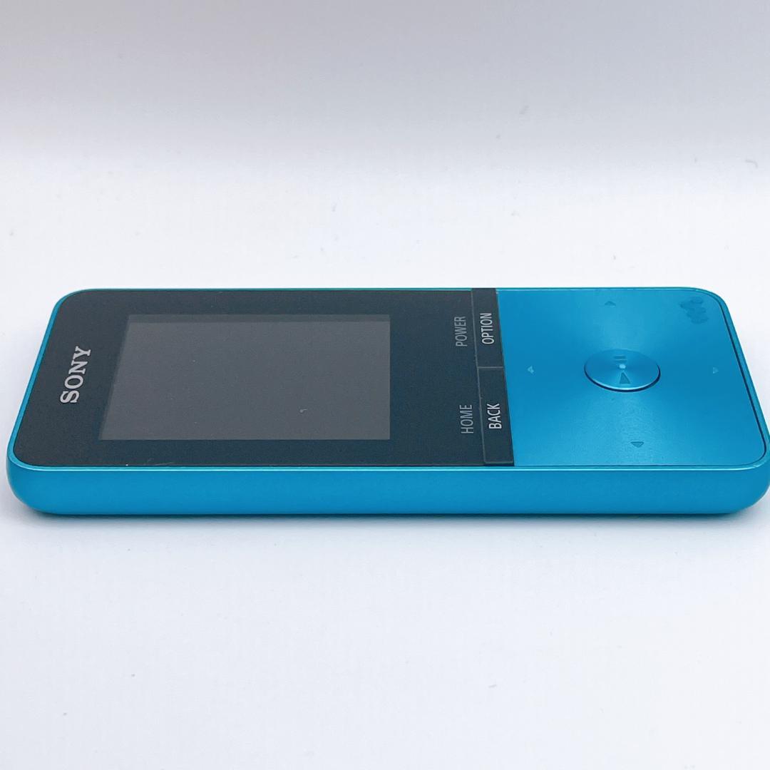 Sony Digital Audio Players Walkman Nw-S313K 4Gb
