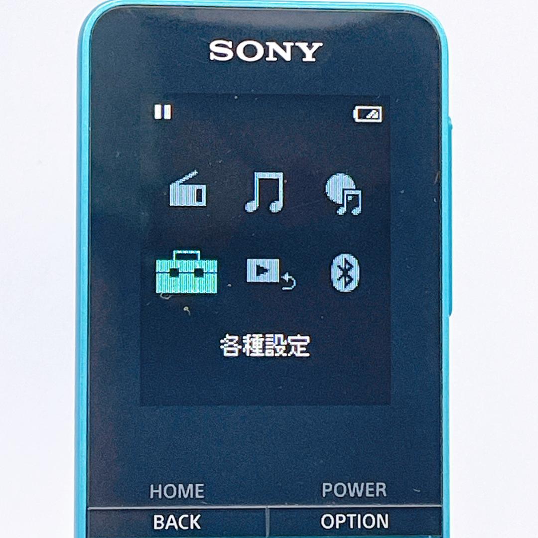 Sony Digital Audio Players Walkman Nw-S313K 4Gb