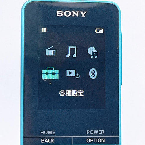 Sony Digital Audio Players Walkman Nw-S313K 4Gb