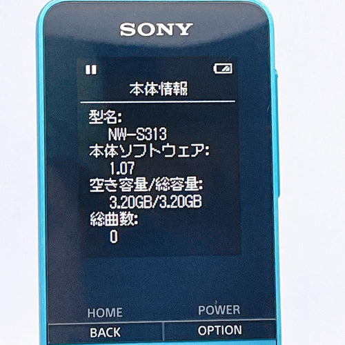 Sony Digital Audio Players Walkman Nw-S313K 4Gb