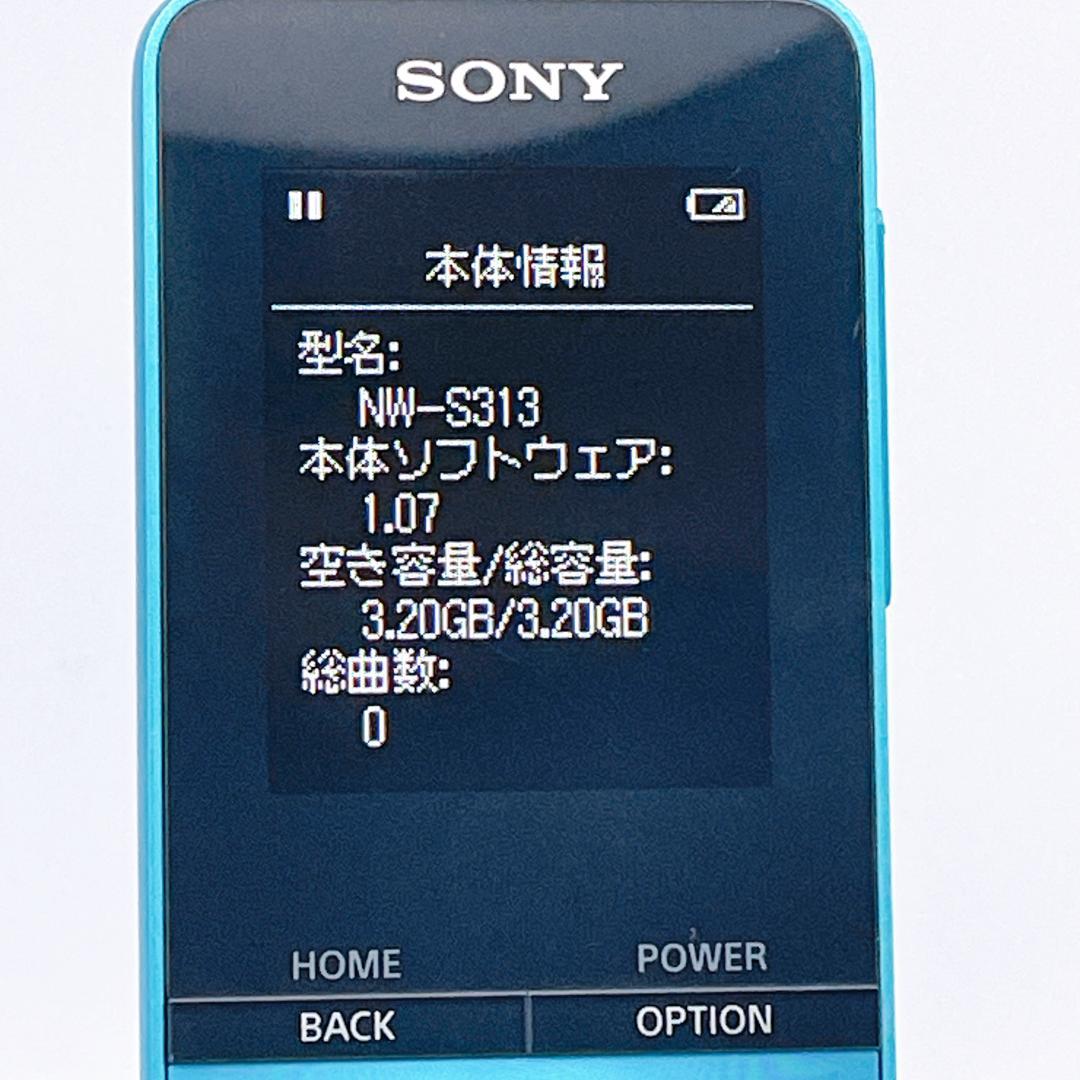 Sony Digital Audio Players Walkman Nw-S313K 4Gb